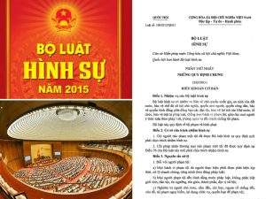 Bộ luật hình sự số 100/2015/QH13