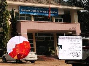 Cán bộ sử dụng bằng tốt nghiệp giả