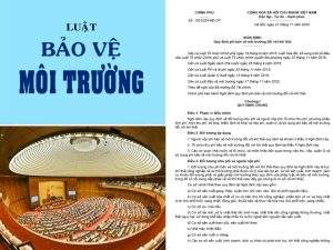 Nghị định/153/2024/NĐ-CP
